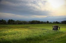 Un terreno demaniale in vendita
