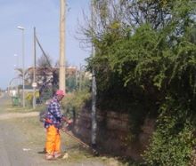 Pulizia ai margini della carreggiata