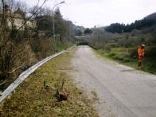 Diserbo sulle strade provinciali