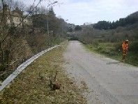 Diserbo stradale